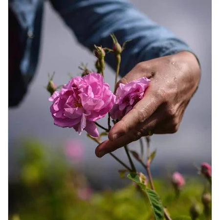 Miss Dior Blooming Bouquet