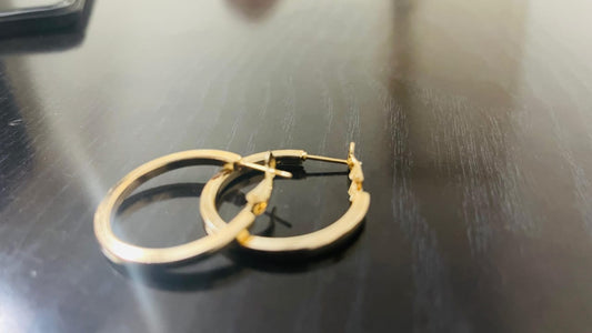 Gold Plated Circular Hook earring